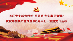 湖北五環(huán)會計師事務(wù)有限公司黨支部開展慶祝中國共產(chǎn)黨成立100周年“學(xué)黨史 悟思想 辦實事 開新局”主題黨日活動
